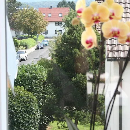 Design-apartments By Ulrike Horster 4* Bensheim